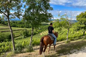 Enjoy Collio: incontri sulla prima strada del vino